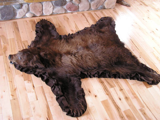 bear66.jpg