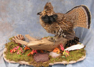 grouse222.JPG
