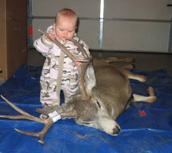 mulie.jpg
